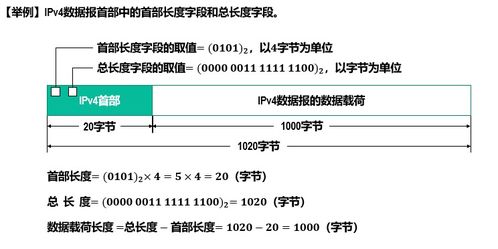 計算機網絡技術開發與服務 網絡層的核心作用與未來展望